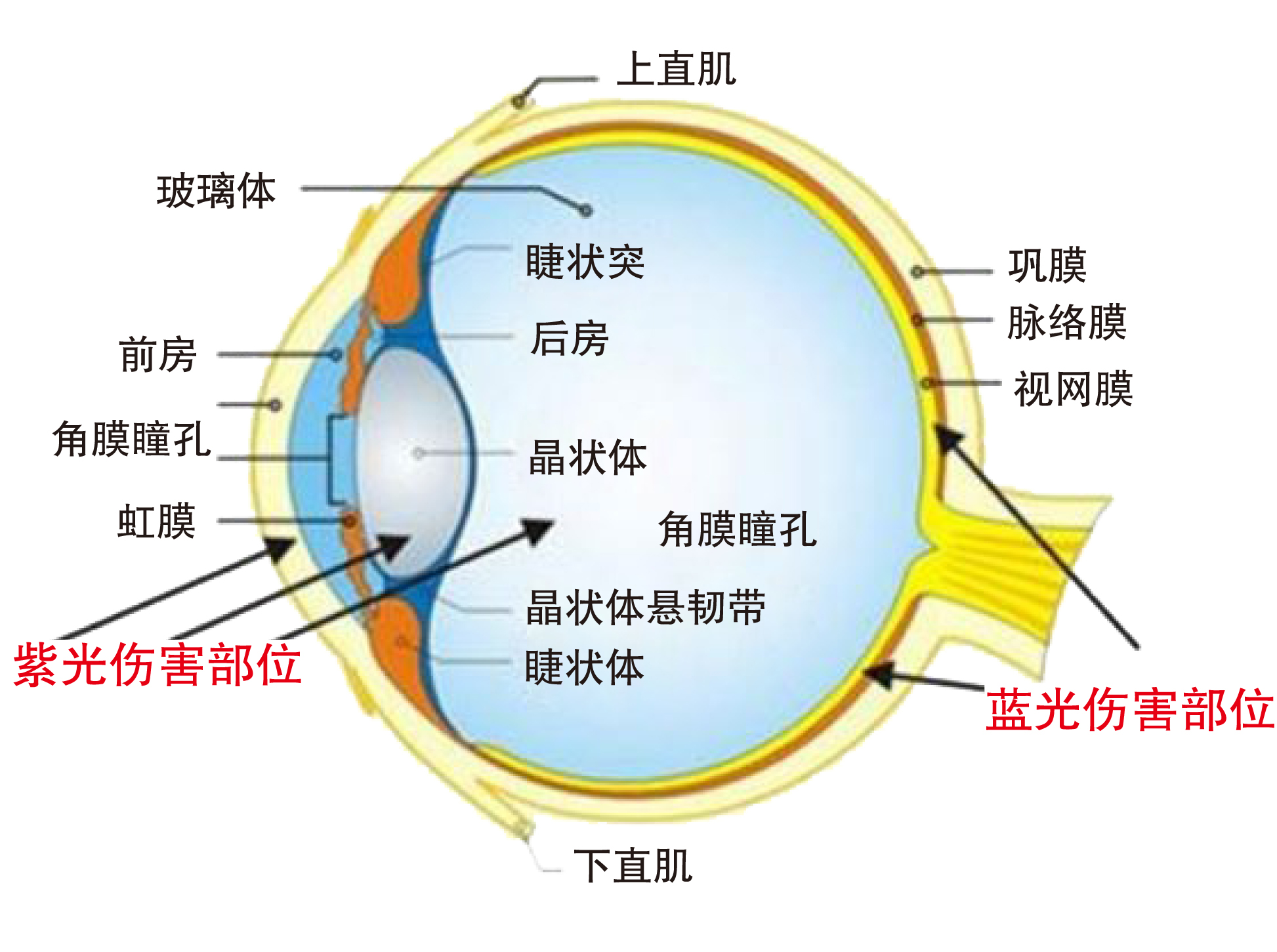 蓝光1