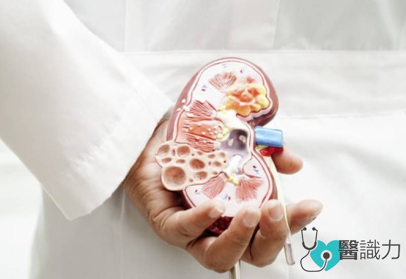 问医-李永业-多囊肾病-多囊性肾病变-遗传病与肾囊肿须分清