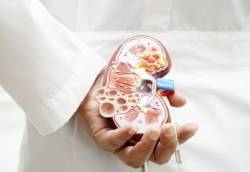 问医-李永业-多囊肾病-多囊性肾病变-遗传病与肾囊肿须分清