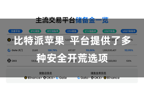 比特派苹果  平台提供了多种安全开荒选项