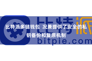 比特派多链钱包  况兼提供了安全的私钥备份和复原机制