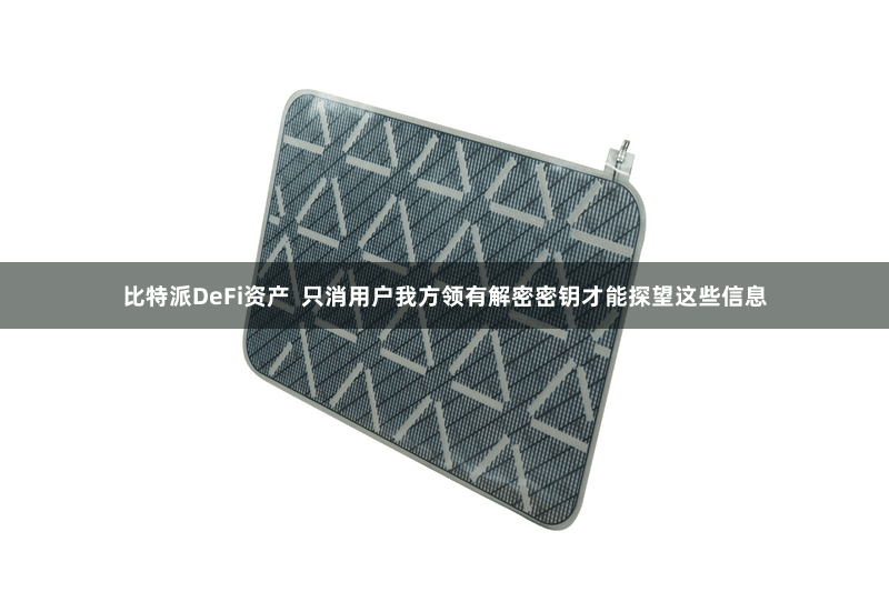 比特派DeFi资产  只消用户我方领有解密密钥才能探望这些信息