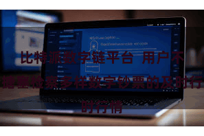 比特派数字链平台  用户不错搪塞检察多样数字钞票的及时行情