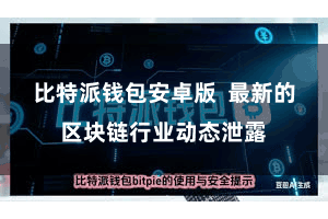 比特派钱包安卓版  最新的区块链行业动态泄露