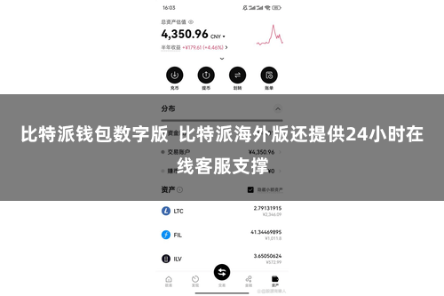 比特派钱包数字版  比特派海外版还提供24小时在线客服支撑